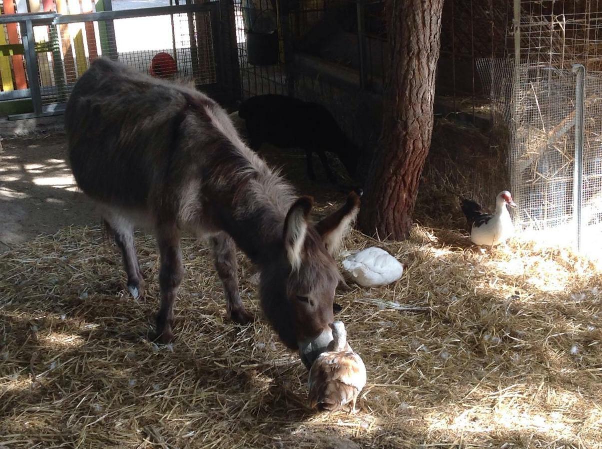 Agriturismo Sa Ruda カブラス エクステリア 写真