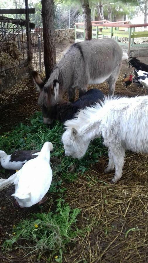 Agriturismo Sa Ruda カブラス エクステリア 写真