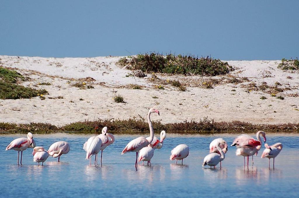 Agriturismo Sa Ruda カブラス エクステリア 写真