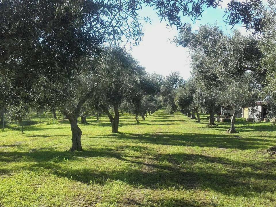 Agriturismo Sa Ruda カブラス エクステリア 写真