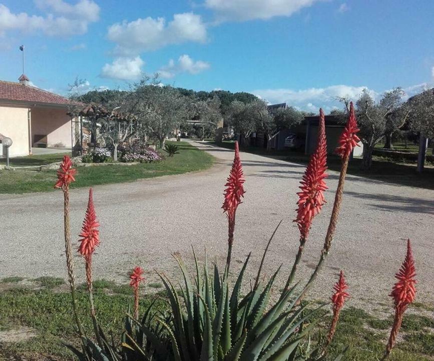 Agriturismo Sa Ruda カブラス エクステリア 写真