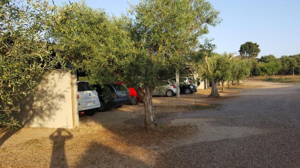 Agriturismo Sa Ruda カブラス エクステリア 写真